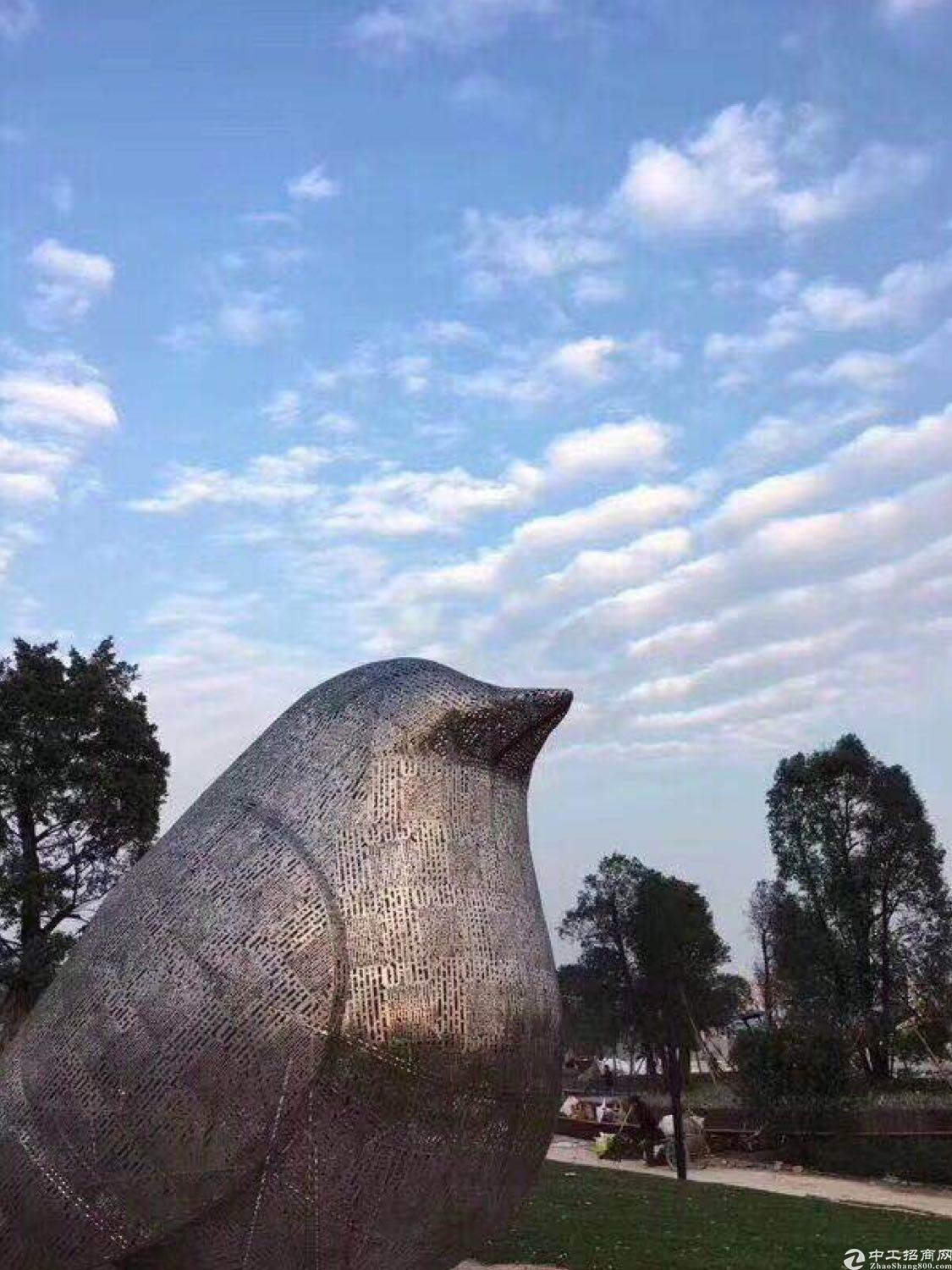 清远市英徳国有土地50亩出售