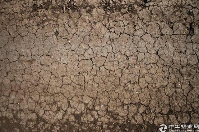南京国有指标工业用地60亩招拍挂