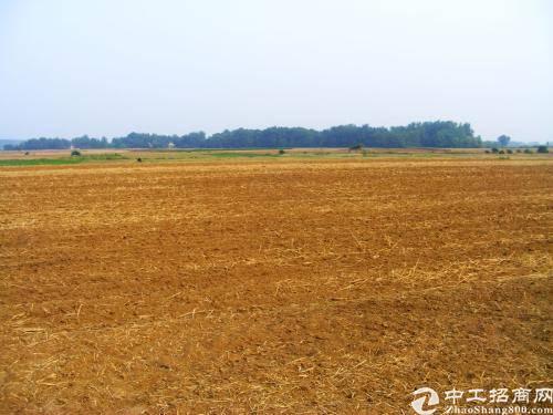 江门市土地出售