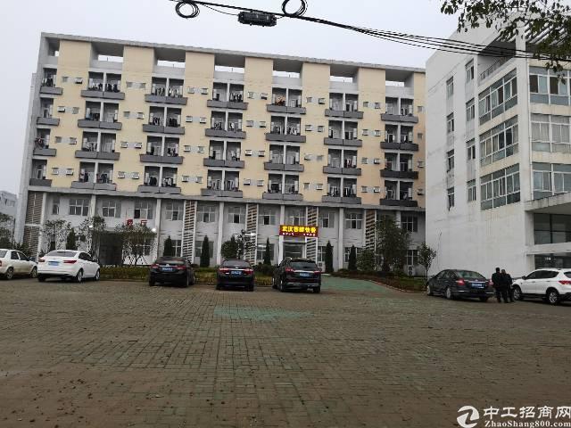 汉南沌口开发区最低价写字楼厂房招商