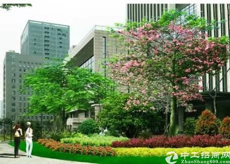 光明新出带红本精装修写字楼车位充足南北通透