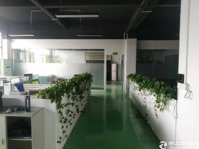 道滘南丫大莞发超市对面精装写字楼，包入驻，无转让费