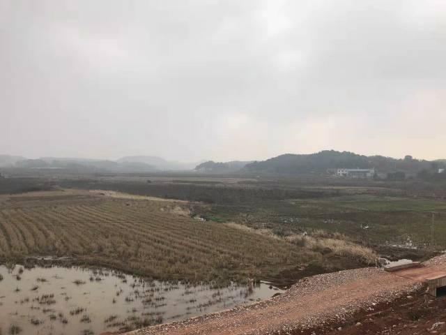 安徽滁州市600亩国有指标工业用地出售。