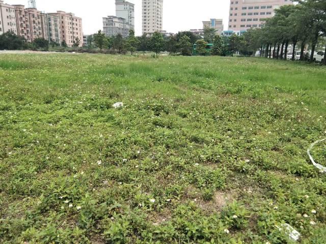 新出空地转让附近配套设施齐全