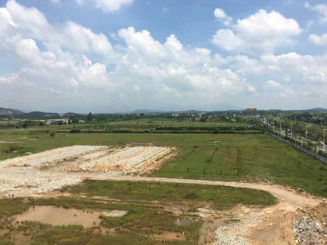清水塘100亩优质国有指标用地出售，政
