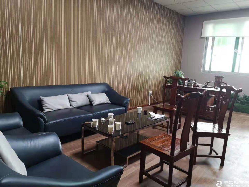 石基新出办公楼，电梯口对面300方，带豪华装修
