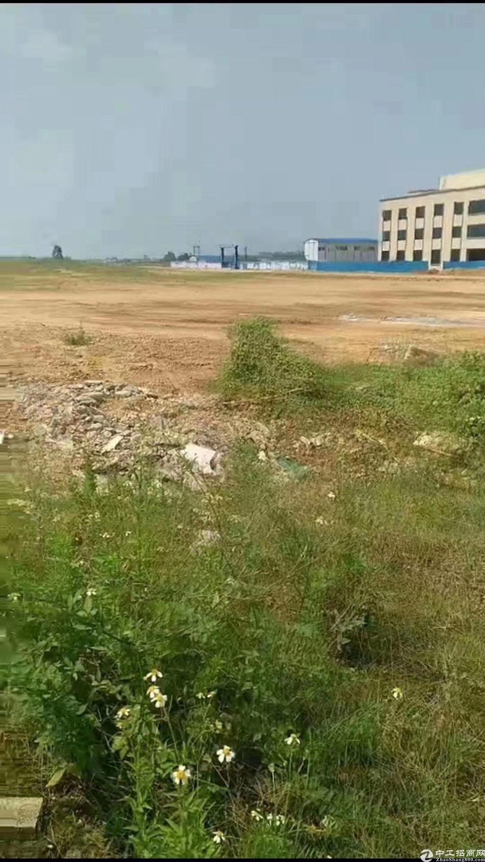 安徽刘安舒城国有红本土地出售