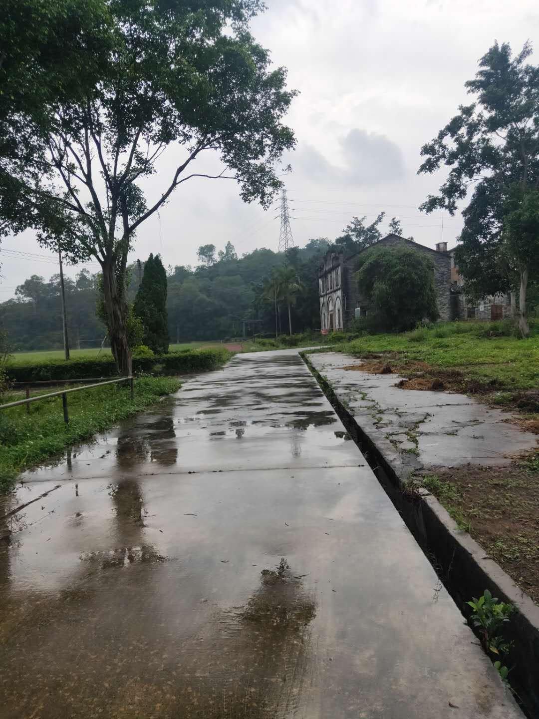 广州白云区江高镇大面积国有产权红本土地出售，可建工厂