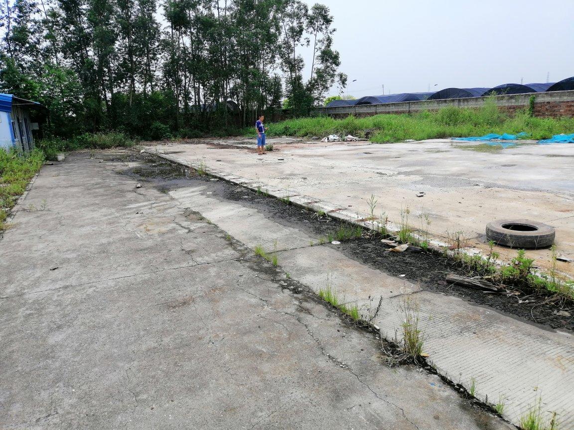 番禺石碁现成教练场1200平招租，设施齐全，周边人流量大