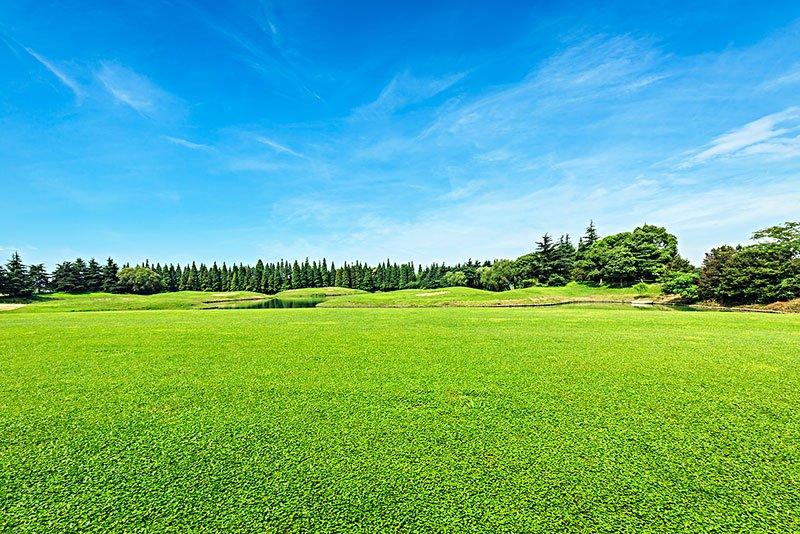 河南国有土地，可定建，