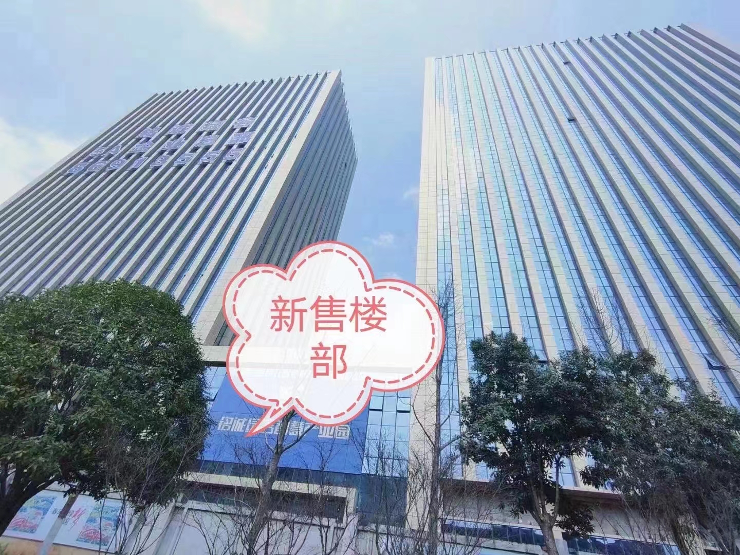 总部楼宇出租，可享受自贸区跟经开区政策。