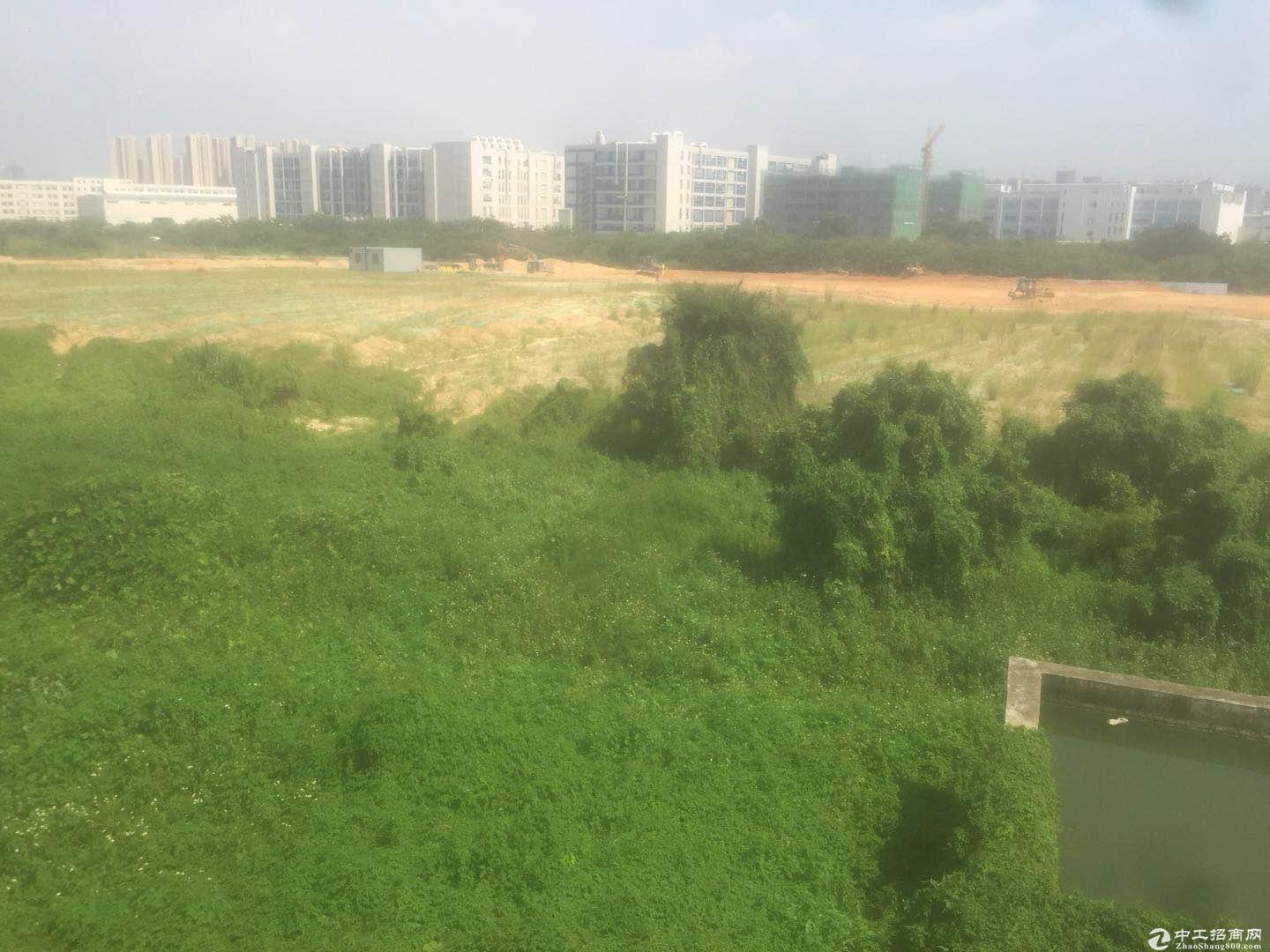中山市稀有土地98亩可建可租可卖
