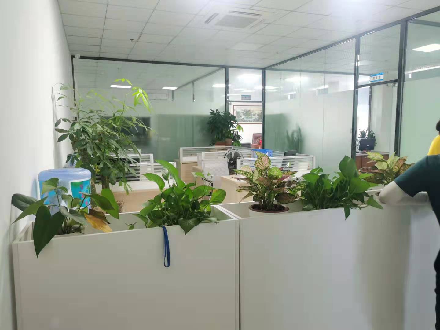 塘厦万科商业盘楼上2000平方，大小面积分租贸易办公培训皆可