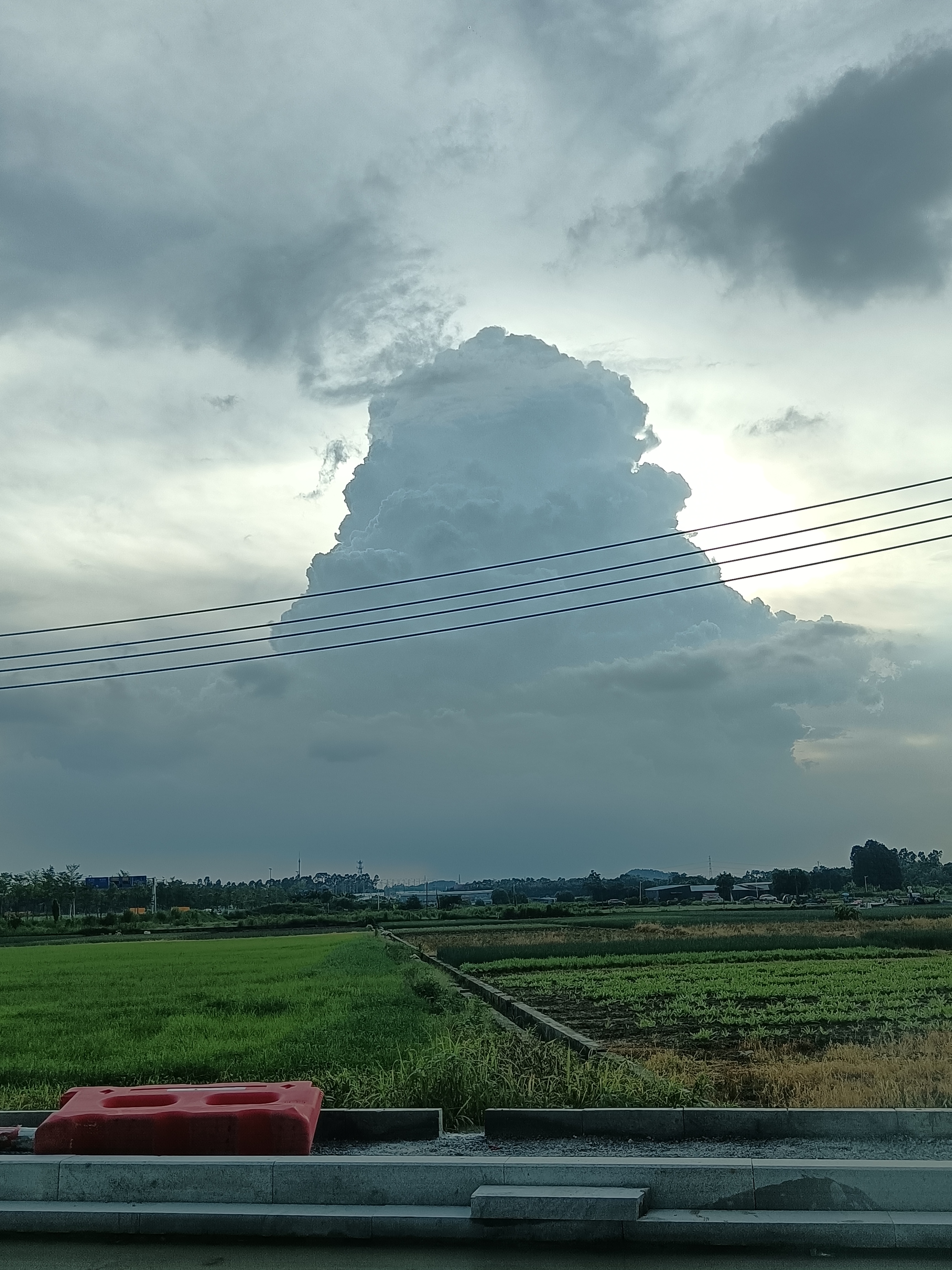 花都花山46亩国有土地出让