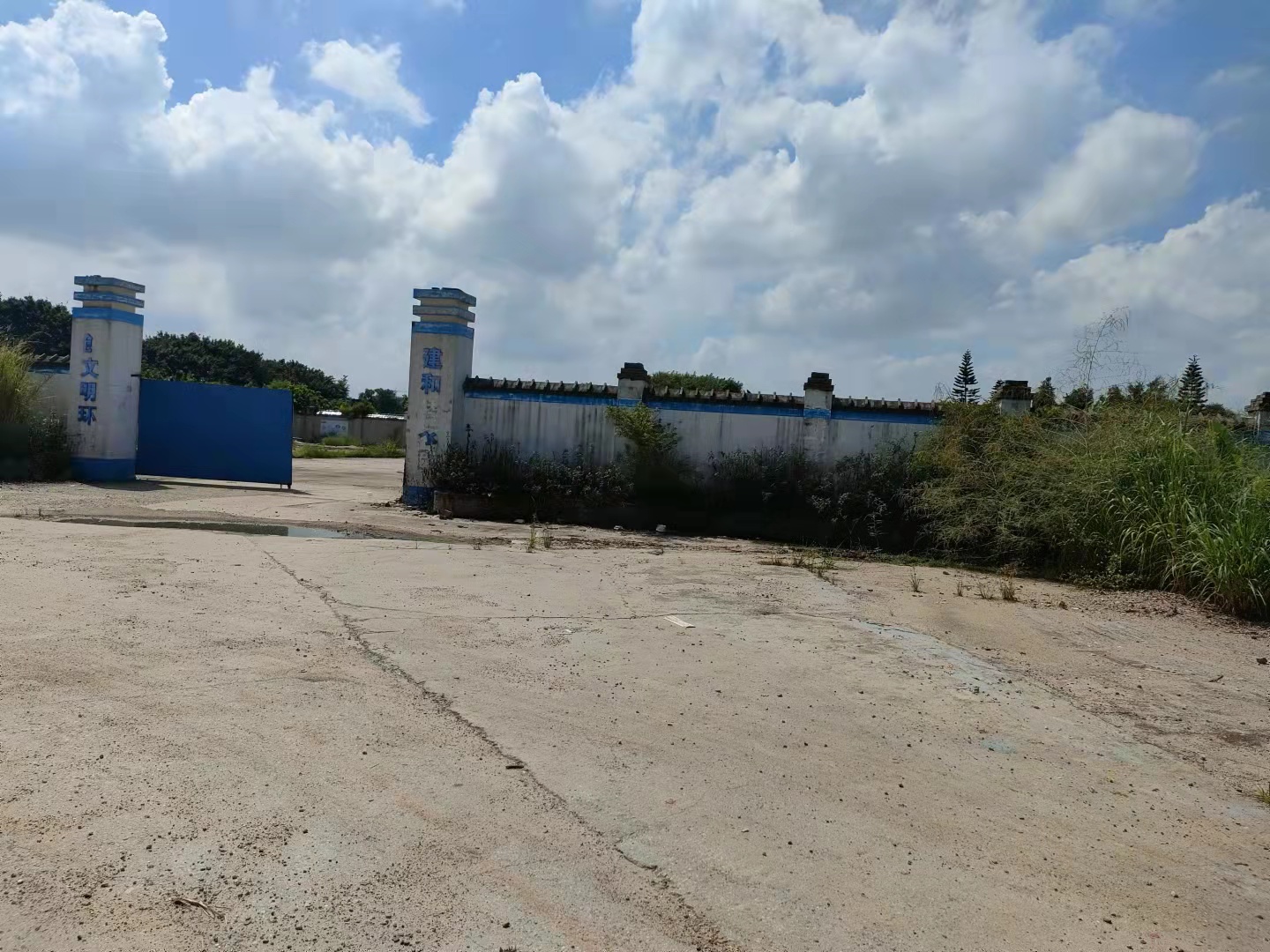 望牛墩新出土地盘适合堆放打包