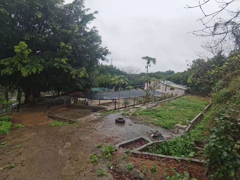广州市番禺区现成农庄占地50亩