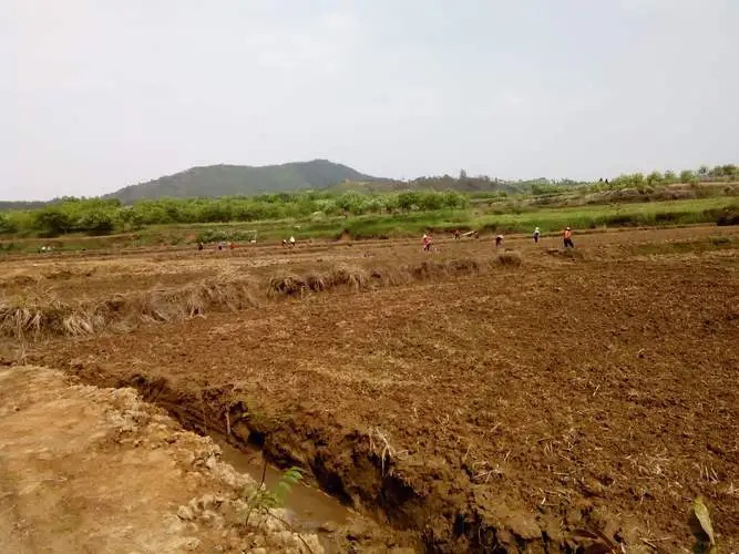 肇庆高新区占地40亩国有土地转让