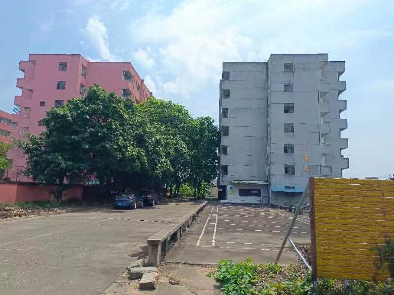 南沙东涌，主干道边大型园区，独门独院可做学校厂房出租