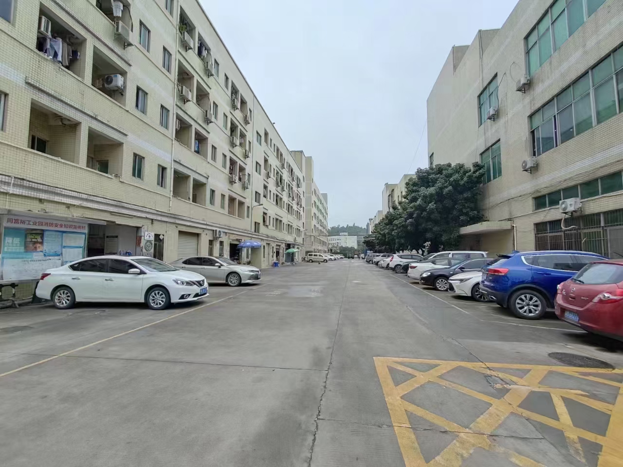 观澜松元轻轨站附近新出四楼1000平无尘，带前台办公室装修
