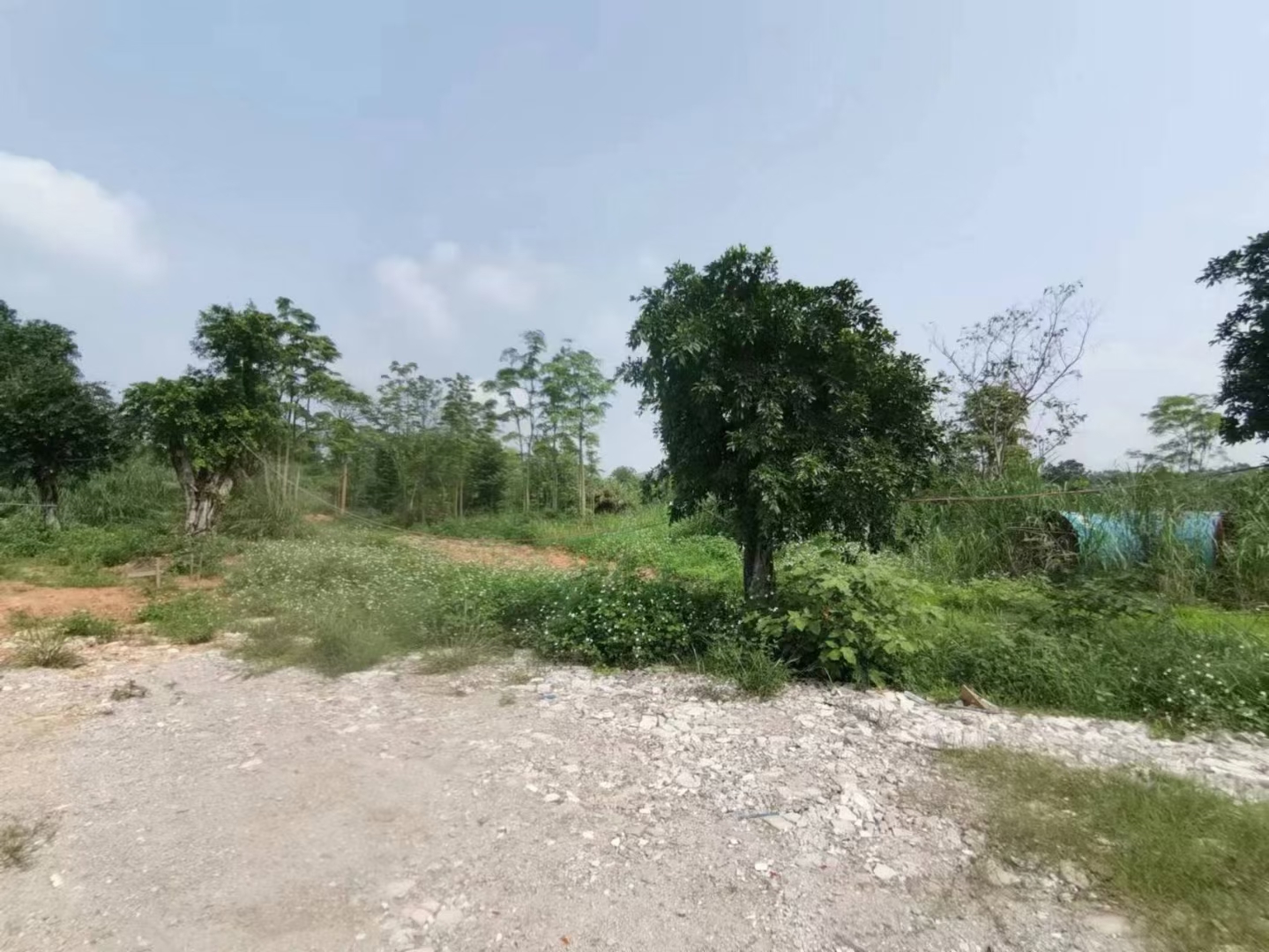 清远清城龙塘新出60亩空地10出租交通方便