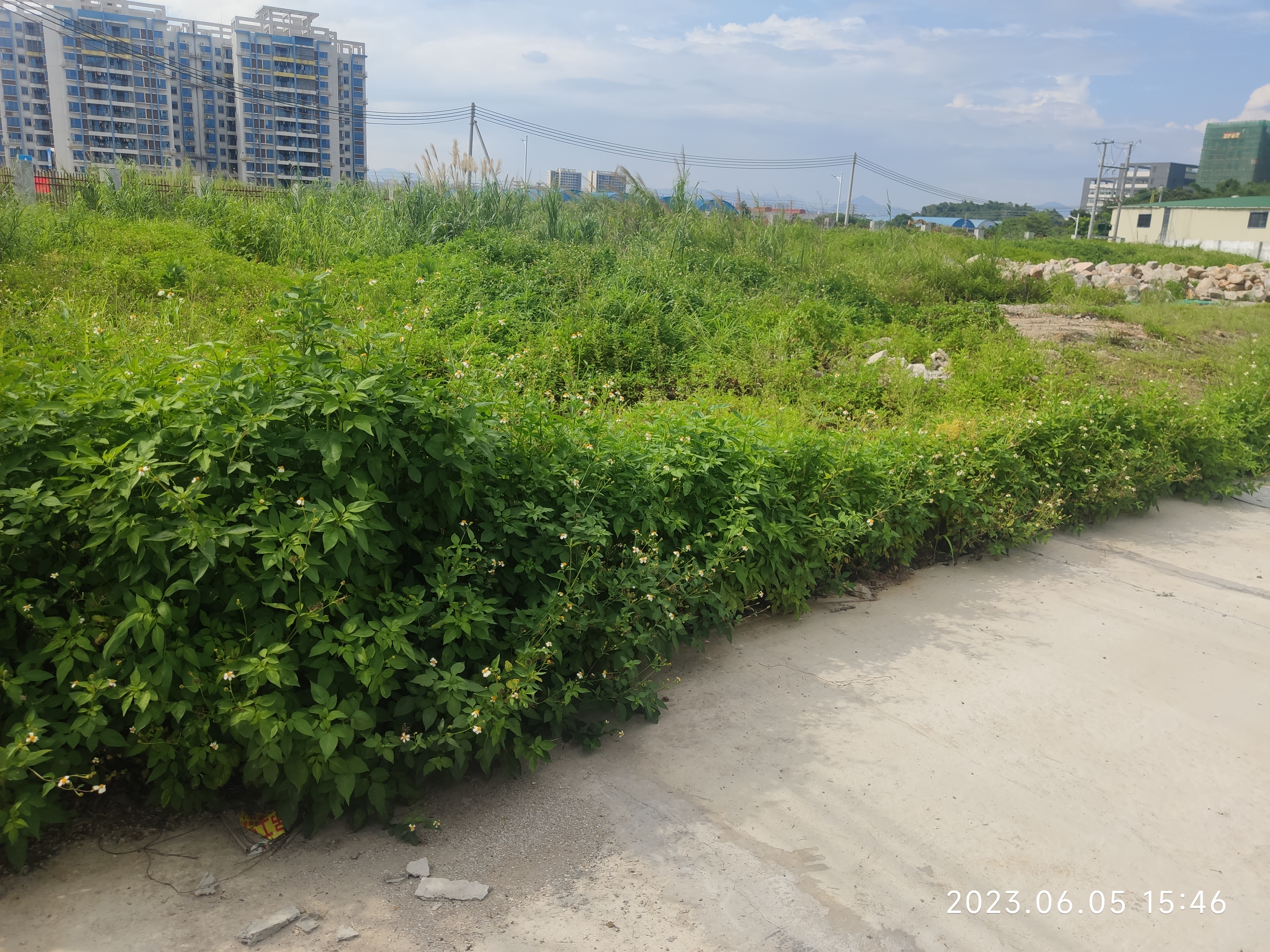 高速路口附近清远市佛冈30亩红本地皮可正规立项报建无税收要求