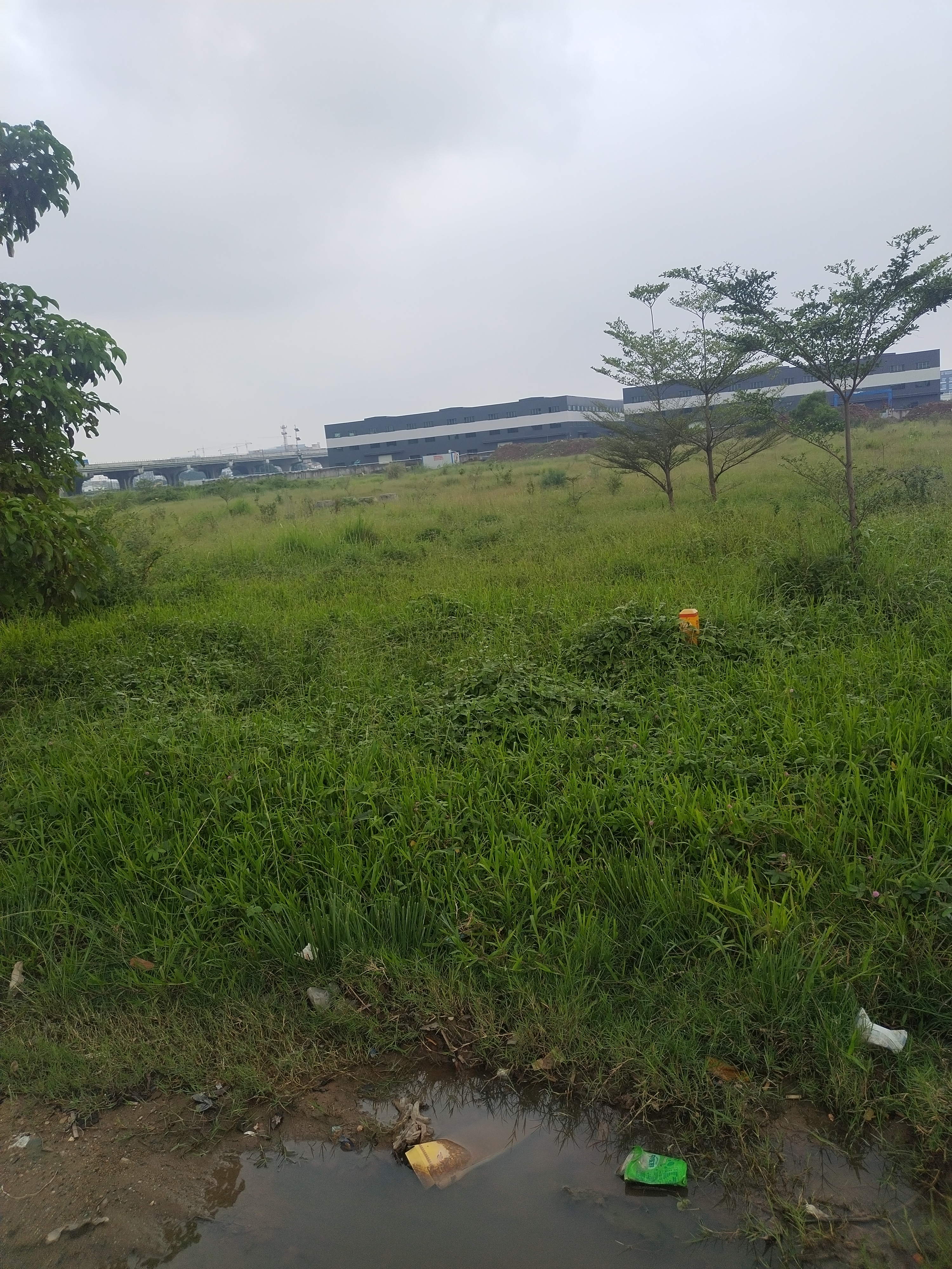 广东清远佛冈国有红本二类工业用地手续齐全业主诚意出售