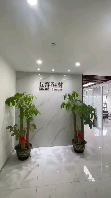 天安中心面积：200m²格局：2+1带家具出租