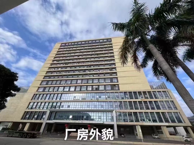 中山坦洲新出原房东标准楼房办公室600平方出租