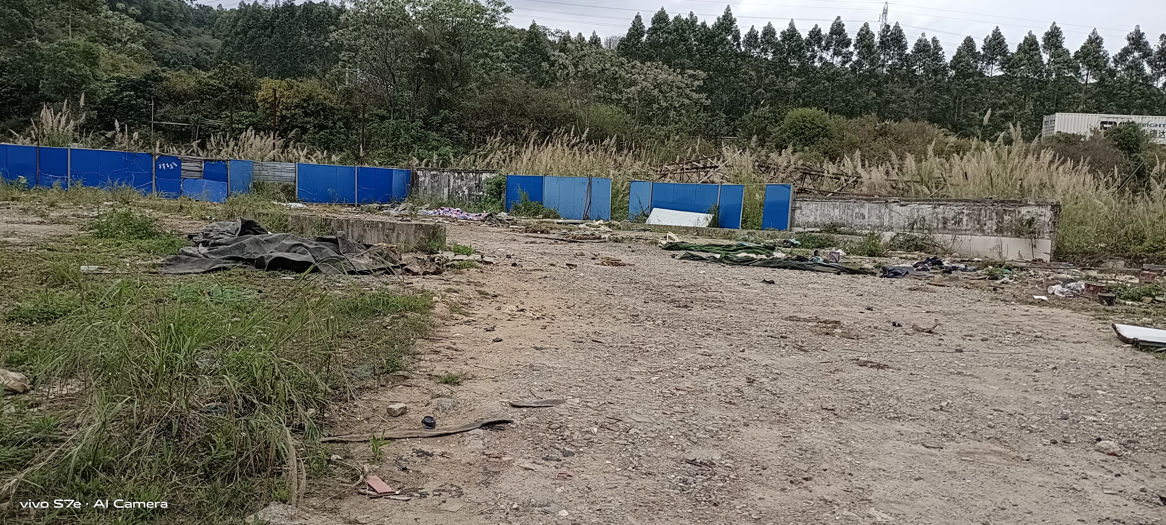 增城区新塘镇荔新大道边新出国有土地大小可分租