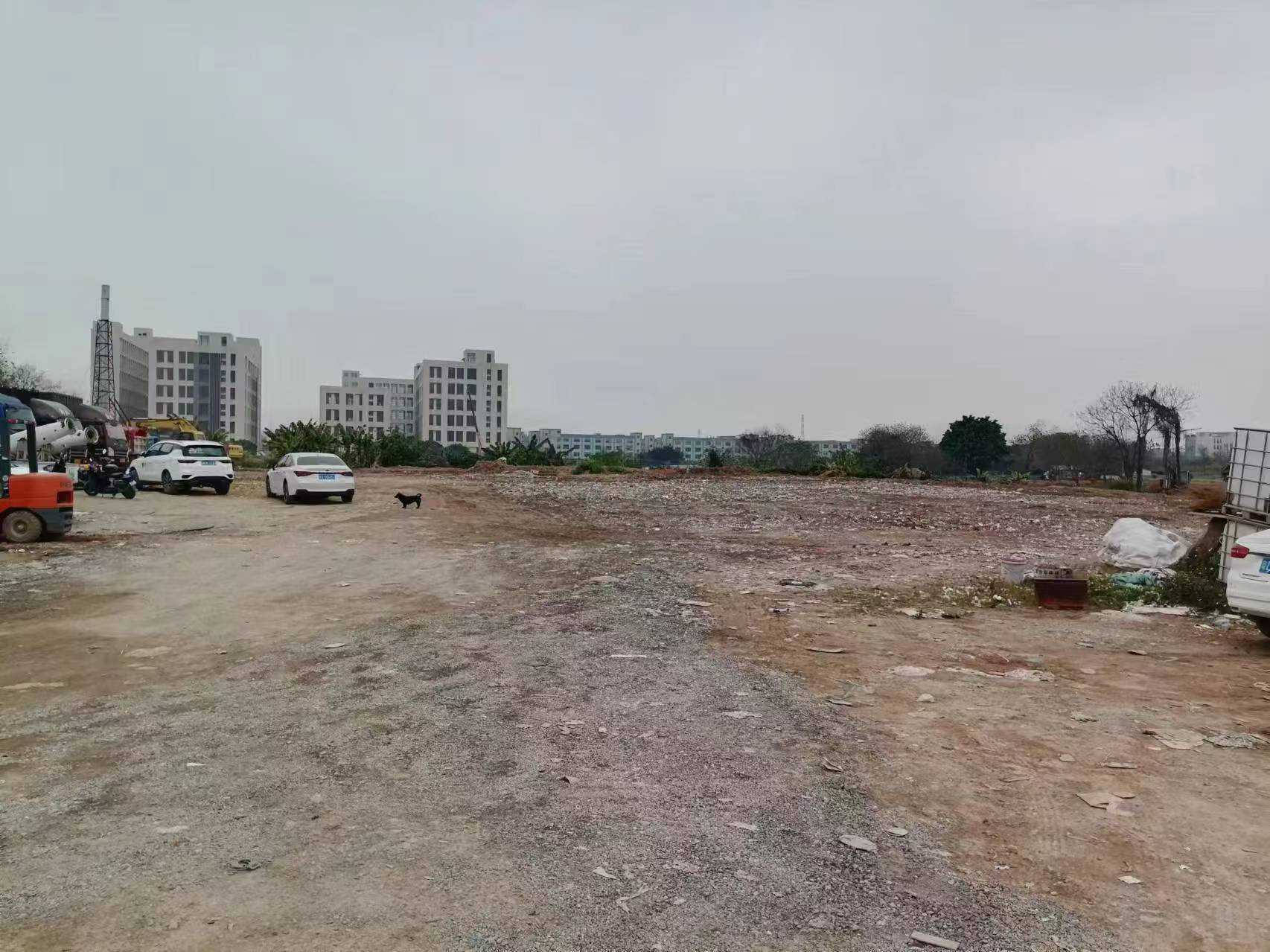 广州市番禺区大龙街道新桥村100亩土地出租
