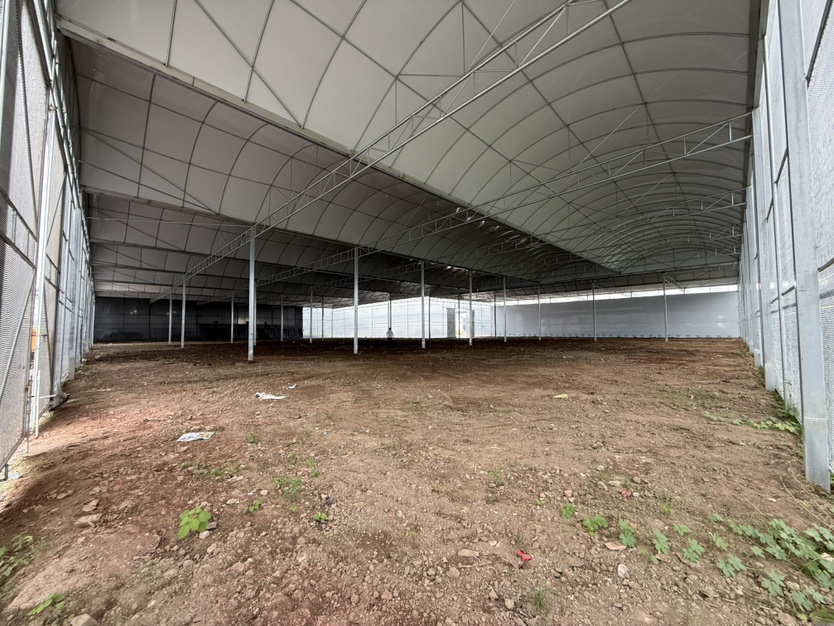 荔湾区3000方全新绿植基地，可区域硬化
