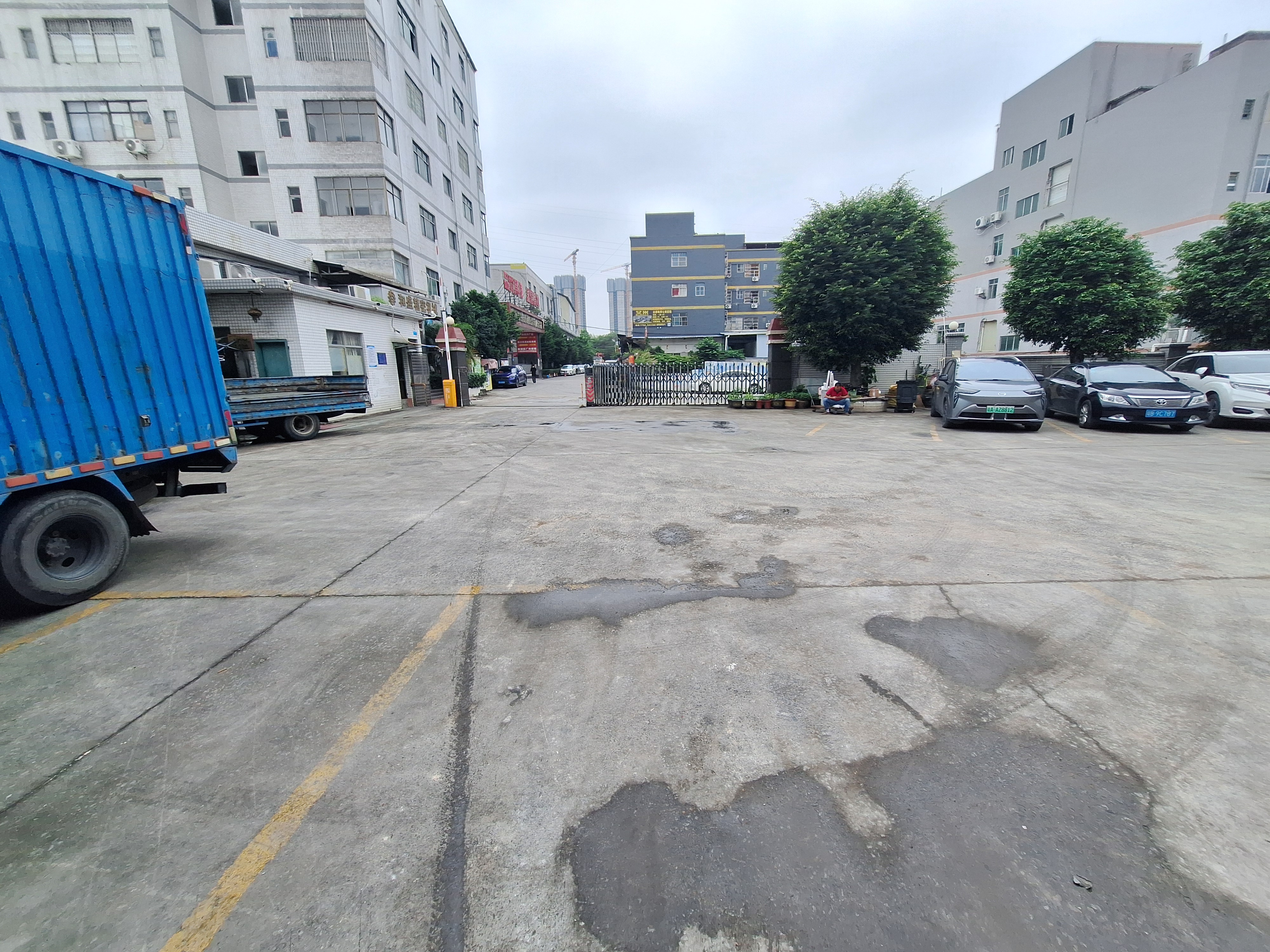 白云江高红本土地