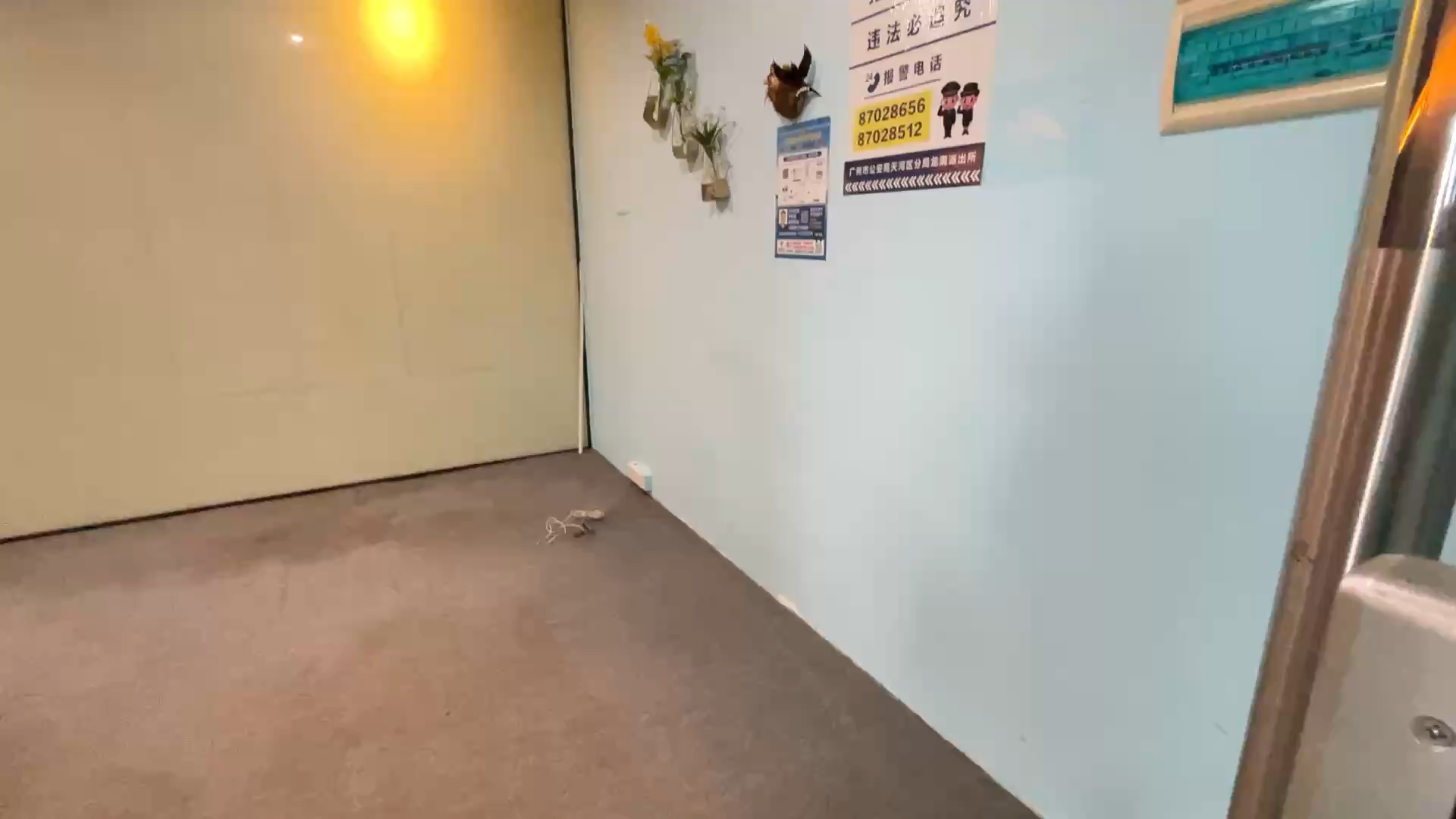 天河区龙洞200方加阁楼，12+1的格局，现成直播间
