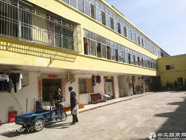 碧岭工业区标准一楼400平