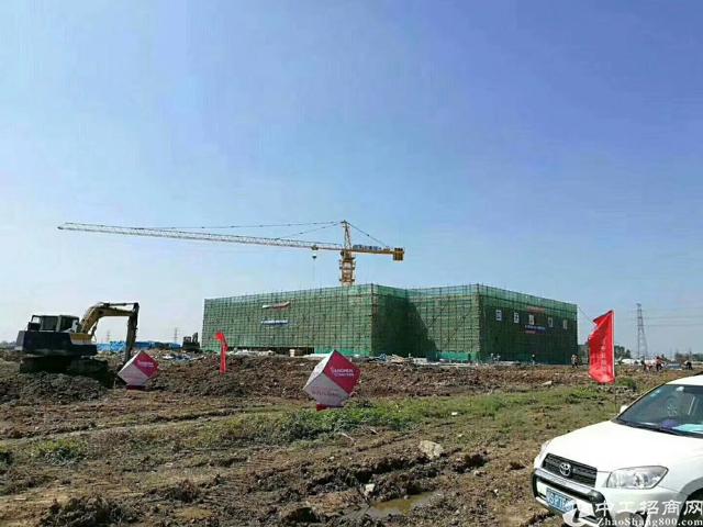 广东省江门红本全新土地