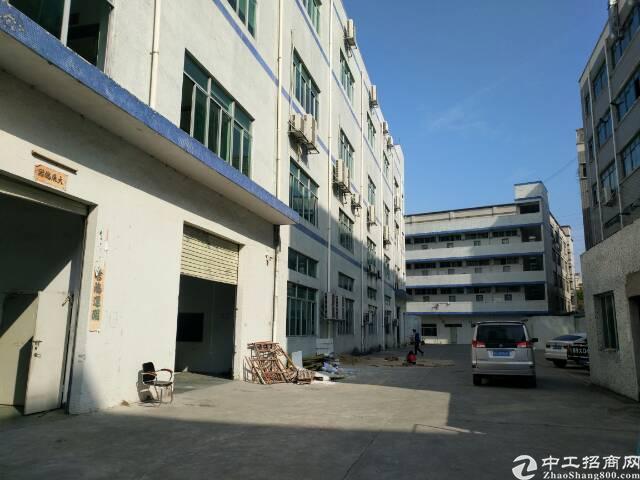 碧岭 新出1-4层6800平米独院厂房出租（可分租）