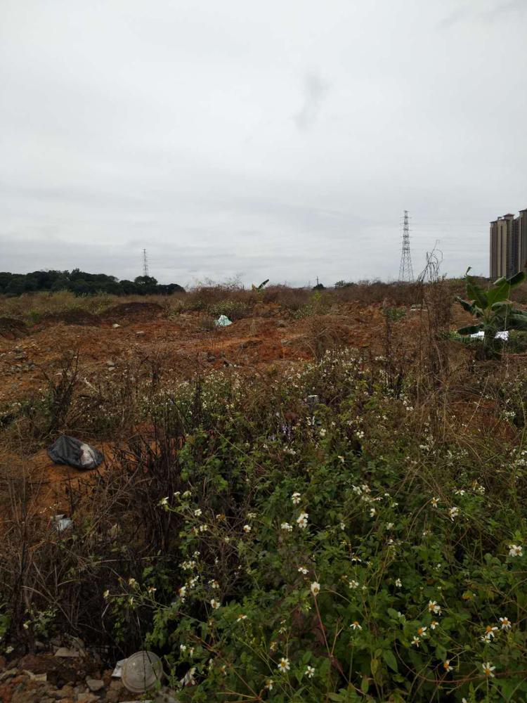 湖南长沙40亩土地出售招拍挂