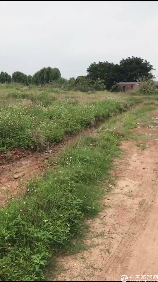 武汉国有土地招标/出售 工业用地出售/招