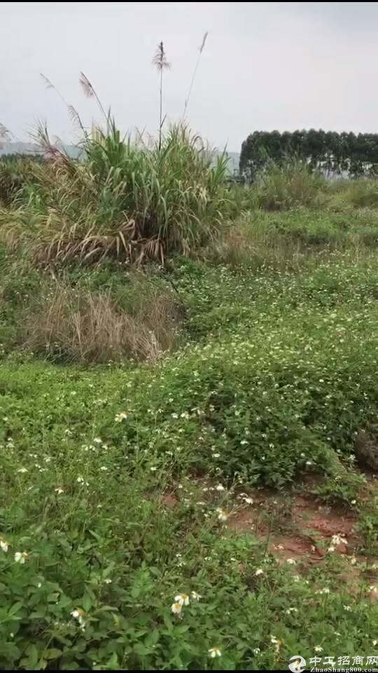 湖北省武汉一手工业用地买卖