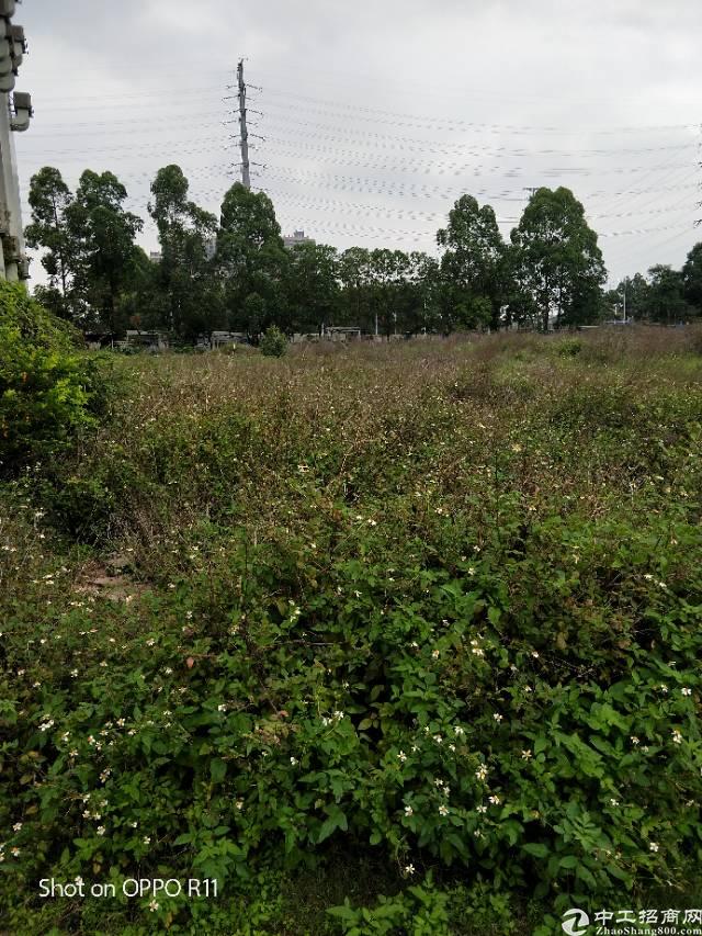 湖南国有地600亩价格合适就卖