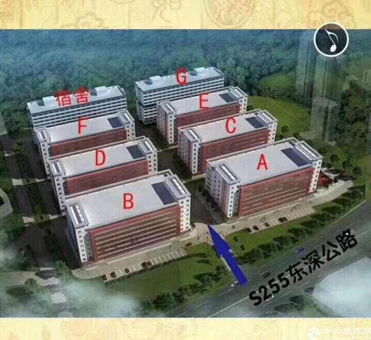 武汉市新洲区问津工业国有证土地招拍挂
