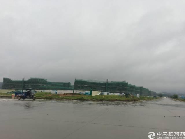 四川省乐山市100亩优质国有指标用地出售