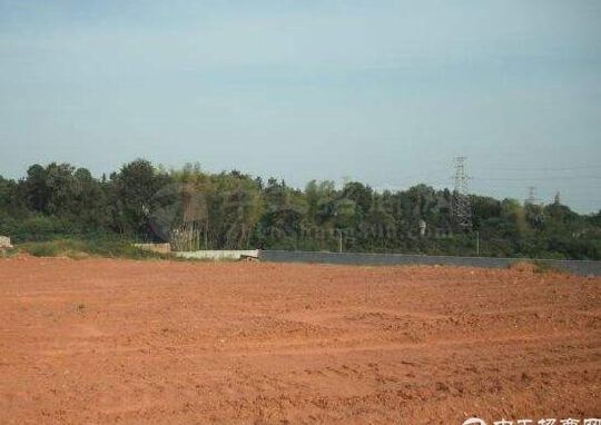 江苏徐州市丰县50亩土地出售，政府招商引资报建手续齐全