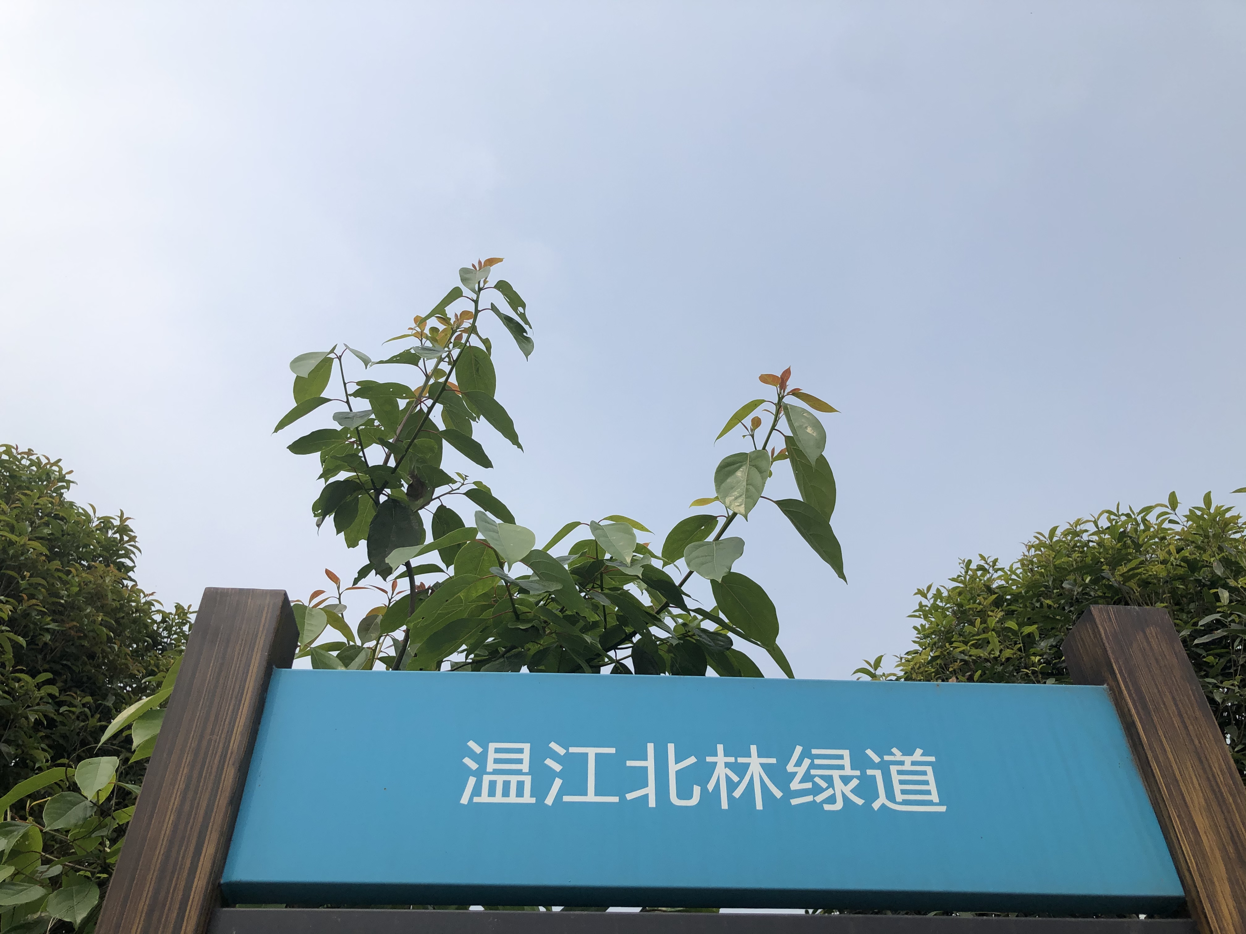 出售淼兮黉门合院（雪山之下，幸福之上）