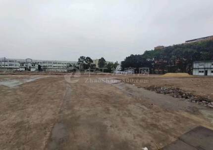 新盘九江镇占地20亩国有不动产权土地出售产权清晰可定建