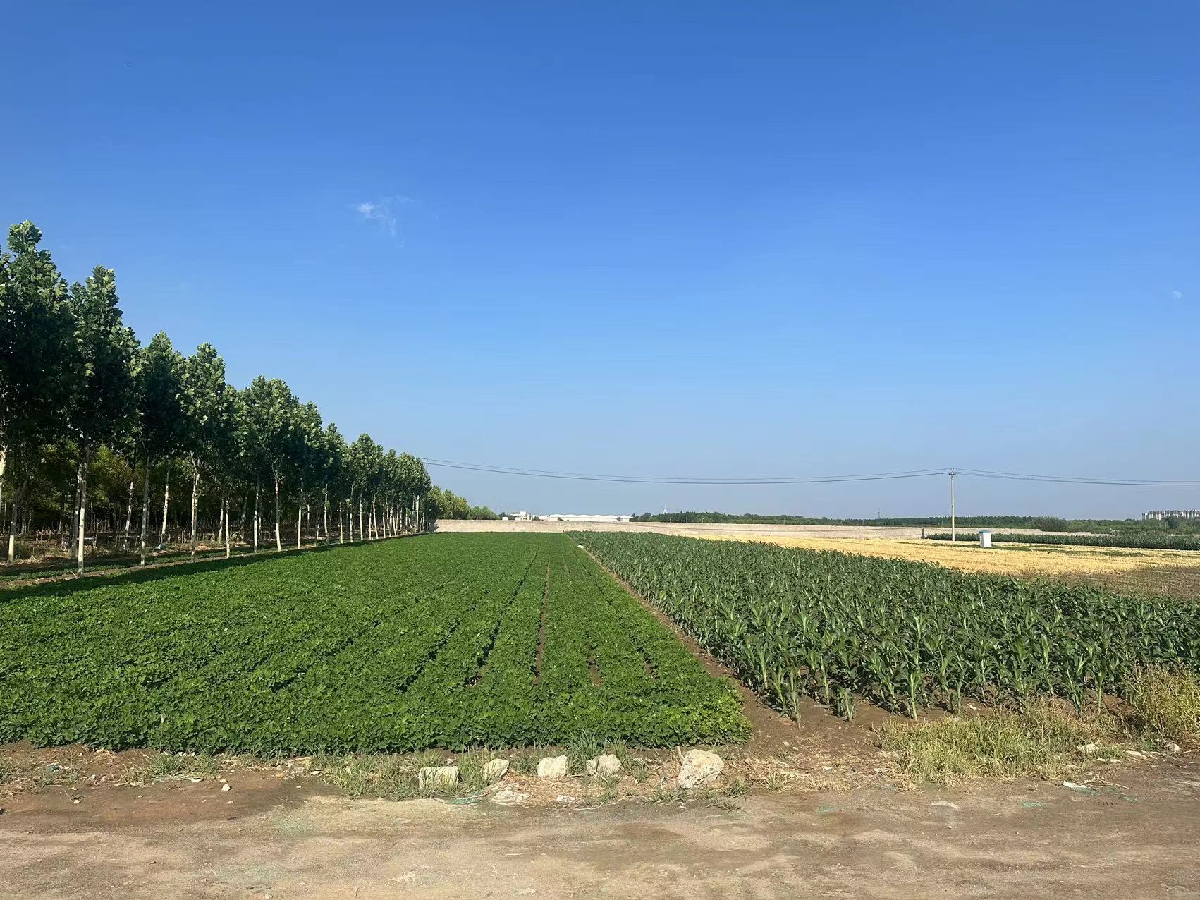 出售|正规国有工业土地，紧邻唐山北高速口
