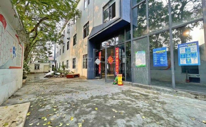 在南山西丽新出独门独院3900平院子150平出租