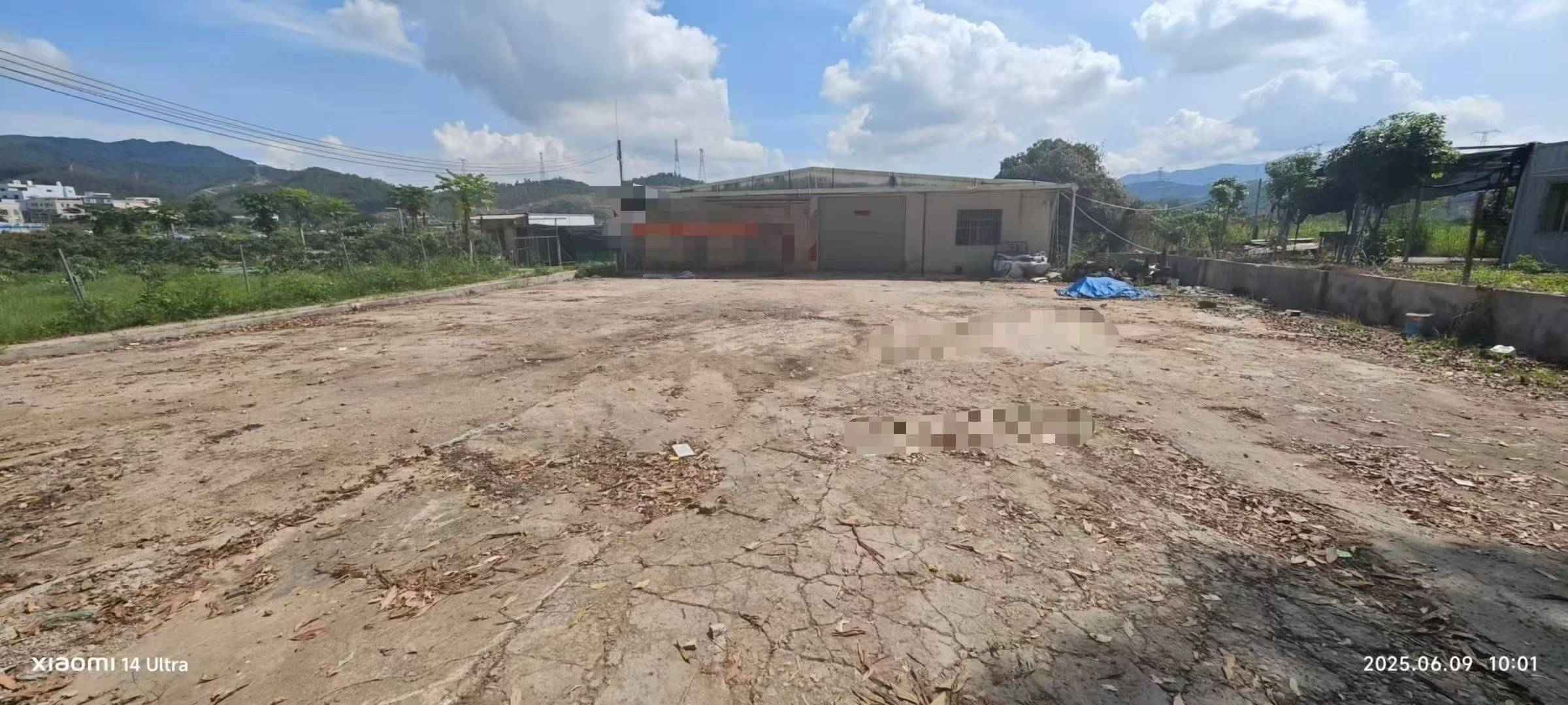 塘厦镇原房东钢构小独院总面积2000平可分租
